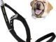 The Benefits of Using a Muzzle in Dog Training: Enhancing Control And Safety
