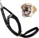 The Benefits of Using a Muzzle in Dog Training: Enhancing Control And Safety 14 The Benefits of Using a Muzzle in Dog Training: Enhancing Control And Safety
