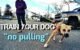 How to Train a Dog to Walk on a Leash 5 How to Train a Dog to Walk on a Leash