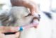 Beyond Biting: 5 Reasons Why Your Dog Might Need a Muzzle 7 Beyond Biting: 5 Reasons Why Your Dog Might Need a Muzzle