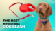 Best Retractable Dog Leash
