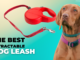 The Best Retractable Dog Leash 36 Best Retractable Dog Leash