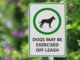 Is It Illegal to Have Your Dog Off Leash