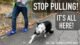 How to Stop Dog From Pulling on Leash