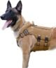 Choosing a Muzzle for Working Dogs: Durability And Functionality 12 Choosing a Muzzle for Working Dogs: Durability And Functionality