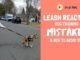 How to Train a Reactive Dog on Leash