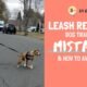 How to Train a Reactive Dog on Leash 7 How to Train a Reactive Dog on Leash