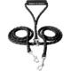 The Caldwell's Double Dog Leash