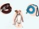 What Type of Leash is Best for Dogs 22 What Type of Leash is Best for Dogs