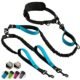 The Best Double Leash For Dogs That Pull 27 The Best Double Leash For Dogs That Pull