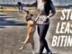 How to Stop Dog From Biting Leash While Walking