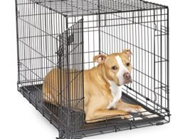 The 48 Inch Dog Crate