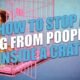 How to Stop Dog Pooping in Crate