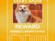 Can You Track Your Dog With a Microchip? Find Your Lost Dog Instantly! 33 Can You Track Your Dog With a Microchip? Find Your Lost Dog Instantly!