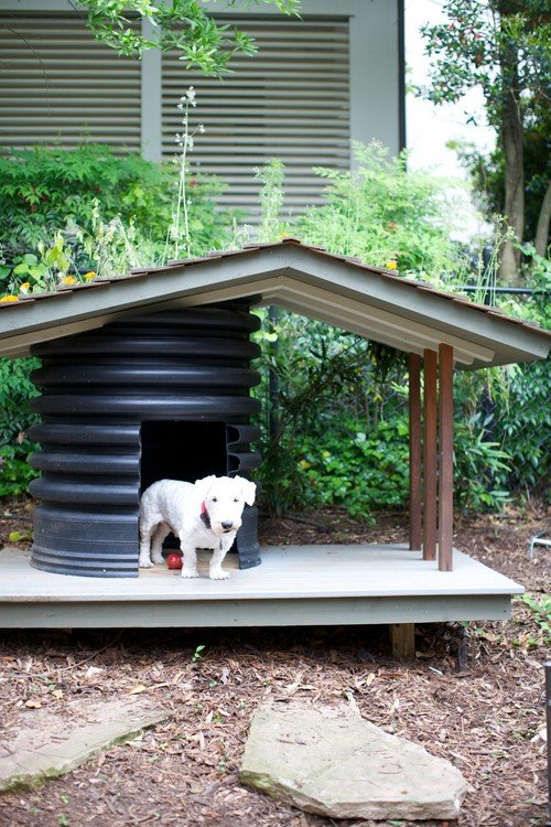 Creative Dog House Design Ideas