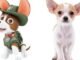 What Kind of Dog is Tracker From Paw Patrol 40 What Kind of Dog is Tracker From Paw Patrol