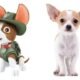 What Kind of Dog is Tracker From Paw Patrol 26 What Kind of Dog is Tracker From Paw Patrol
