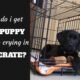 How to Get a Dog to Stop Crying in Crate 7 How to Get a Dog to Stop Crying in Crate