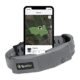 The Best Gps Dog Collar 6 The Best Gps Dog Collar