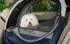 The Best Dog Crate For Car Travel 5 The Best Dog Crate For Car Travel