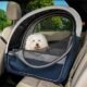 The Best Dog Crate For Car Travel