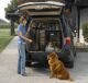The Suv Dog Crates