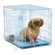 Blue Dog Crate