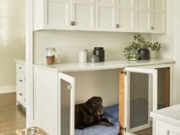 Where to Put Dog Crate in House