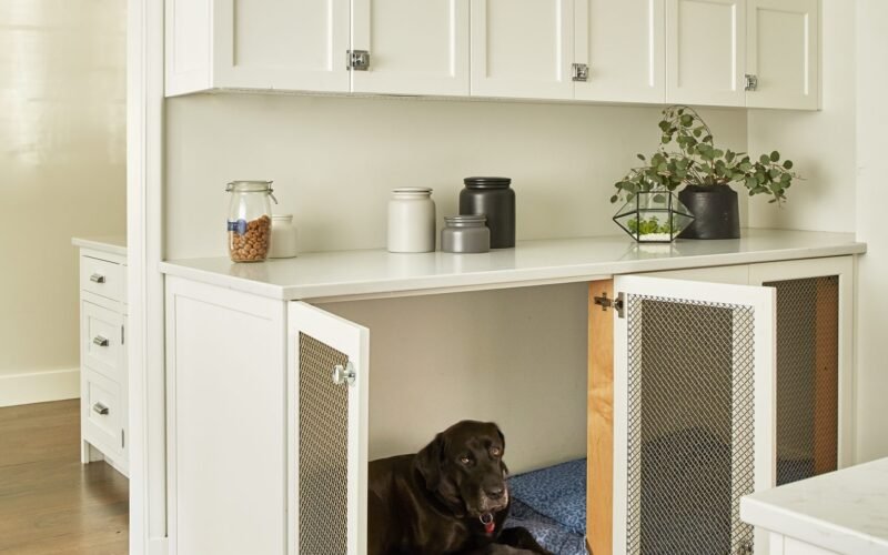 Where to Put Dog Crate in House