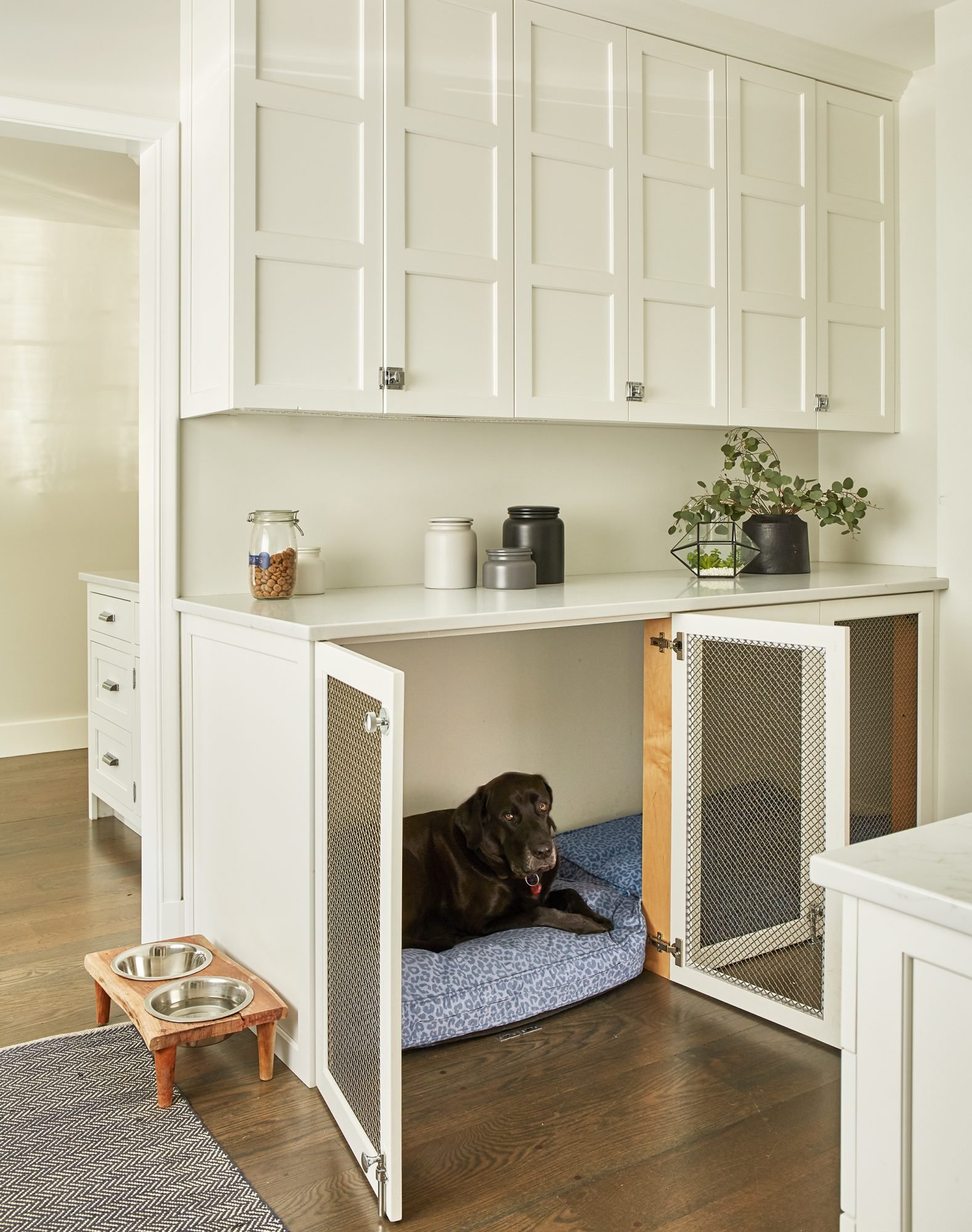 Where to Put Dog Crate in House