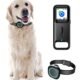 The Best Dog Tracker Without Subscription