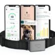 Best Dog Fitness Tracker