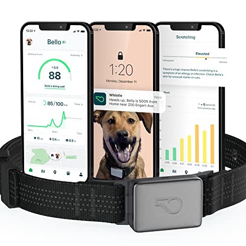 Best Dog Fitness Tracker