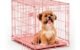 The Pink Dog Crate 5 The Pink Dog Crate
