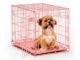 The Pink Dog Crate 28 The Pink Dog Crate