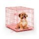 The Pink Dog Crate 124 The Pink Dog Crate