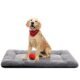 The Best Dog Crate Pad