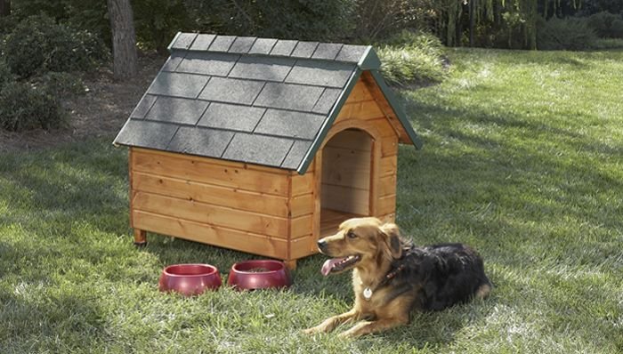 The Classic Dog House