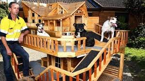 The Multi-Level Dog House