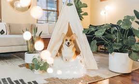 The Teepee Dog House