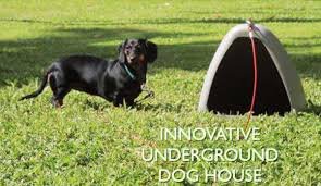The Underground Dog House