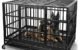 The Couple Locked In Dog Crate 5 The Couple Locked In Dog Crate