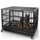The Couple Locked In Dog Crate 27 The Couple Locked In Dog Crate