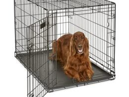42 Inch Dog Crate
