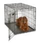 The 42 Inch Dog Crate 61 42 Inch Dog Crate