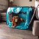 The Camping Crates For Dogs