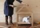 Small Dog Houses: Finding the Perfect Fit for Your Little Pup 9 Small Dog Houses: Finding the Perfect Fit for Your Little Pup