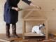 Small Dog Houses: Finding the Perfect Fit for Your Little Pup 35 Small Dog Houses: Finding the Perfect Fit for Your Little Pup