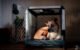 The Benefits of Crate Training for Your Dog 5 Benefits of Crate Training for Your Dog