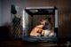 The Benefits of Crate Training for Your Dog 6 Benefits of Crate Training for Your Dog
